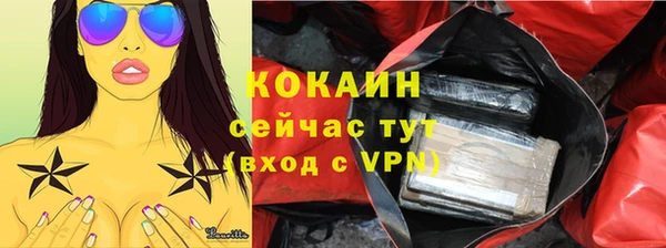 ГАЛЛЮЦИНОГЕННЫЕ ГРИБЫ Пересвет