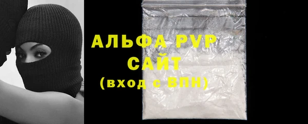 крисы Осташков