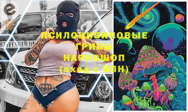 ГАЛЛЮЦИНОГЕННЫЕ ГРИБЫ Пересвет