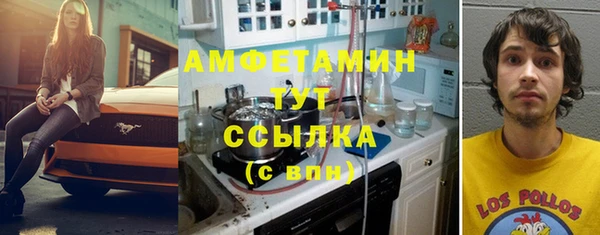 ГАЛЛЮЦИНОГЕННЫЕ ГРИБЫ Пересвет