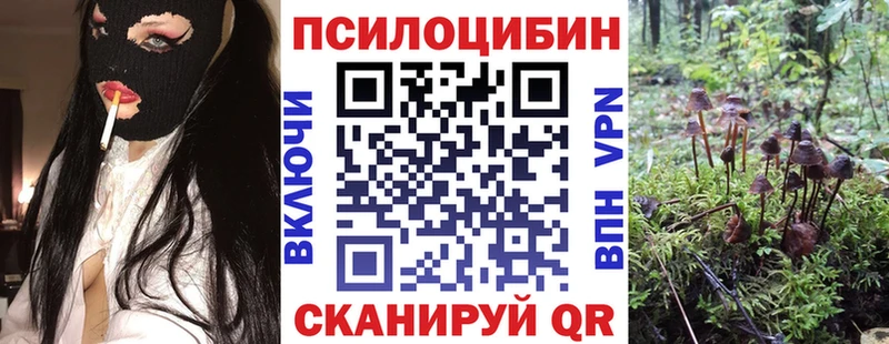 Галлюциногенные грибы Psilocybine cubensis Короча