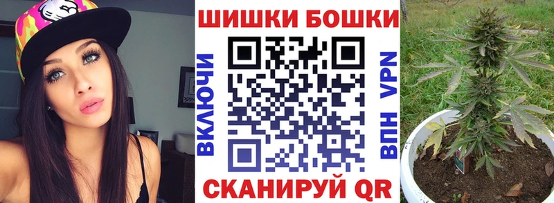 Канабис планчик Короча